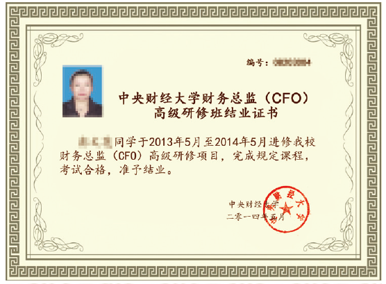 ƾѧ2015ܼ(CFO)