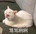 2021同力统考出分前，要特别关注这2件事！