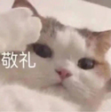 童同学：三次失利后，我是这样子通过考试的