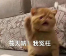 ͬ˶ѧҲţɶ