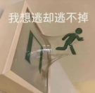 ˣŪӳɷֵؾݾ桿