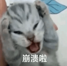 Ϊʲô˱ô찡