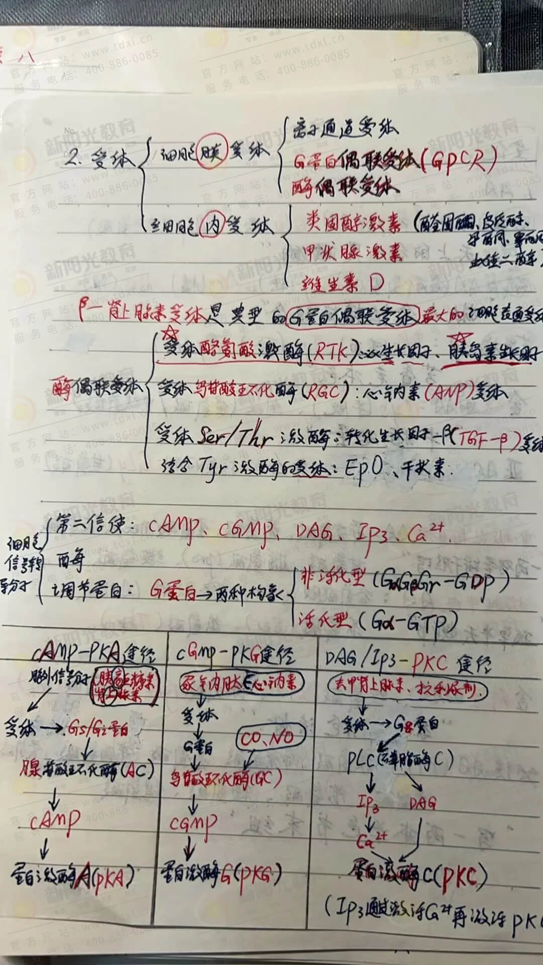 知识记不住错题反复错?这个让你双科一次过